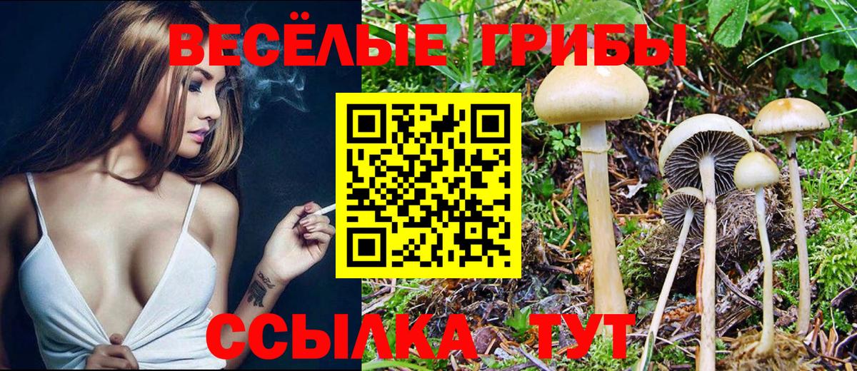 Галлюциногенные грибы Cubensis Лабинск